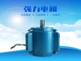 科瑞萊環(huán)?？照{1.1KW專用電機